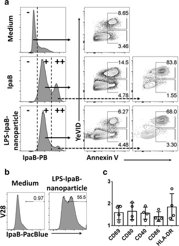 Fig. 1