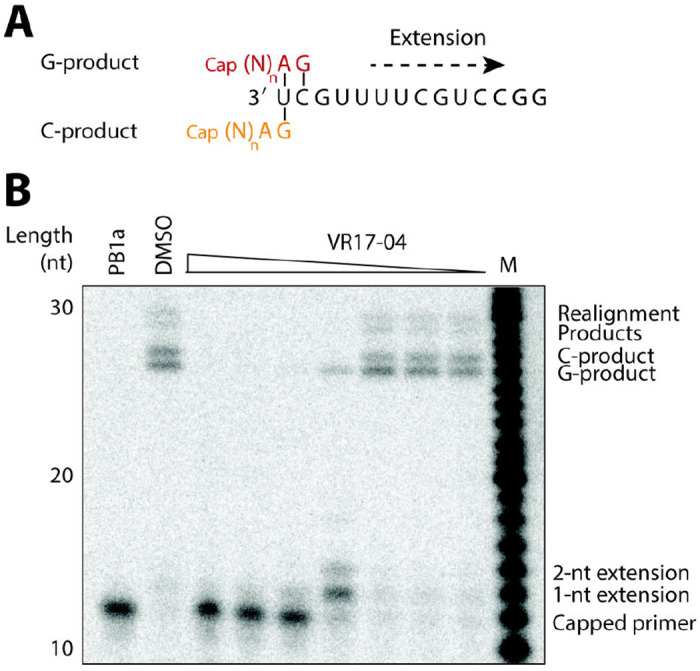 FIG 3