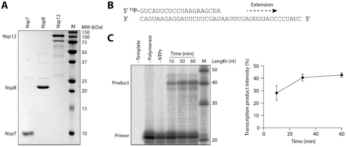 FIG 4