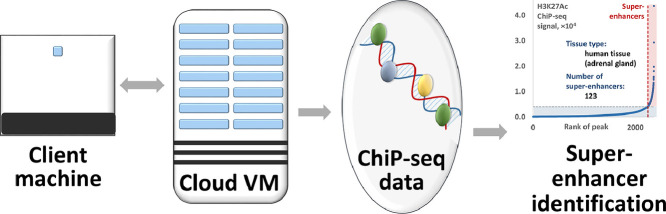 Image, graphical abstract