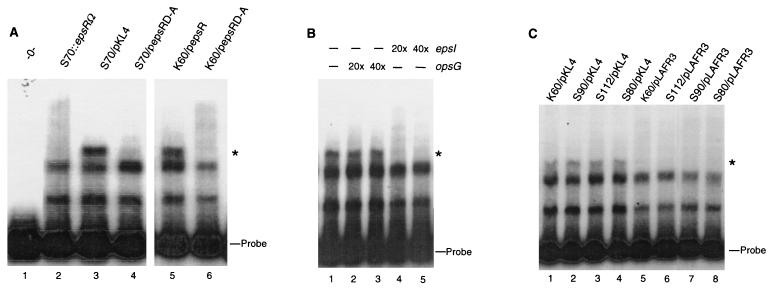 FIG. 5