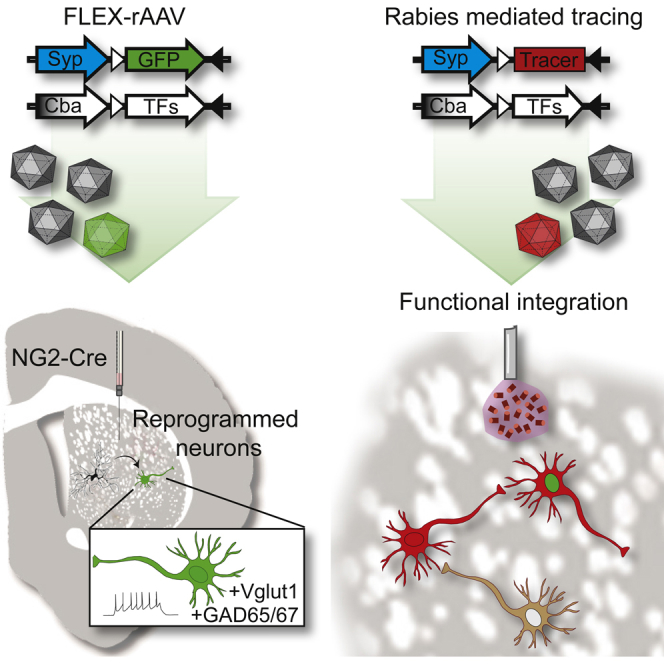 graphic file with name fx1.jpg