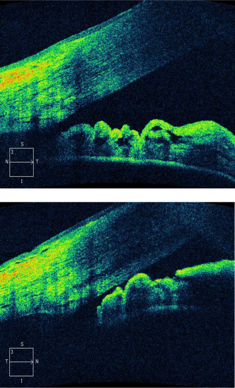 Fig. 3