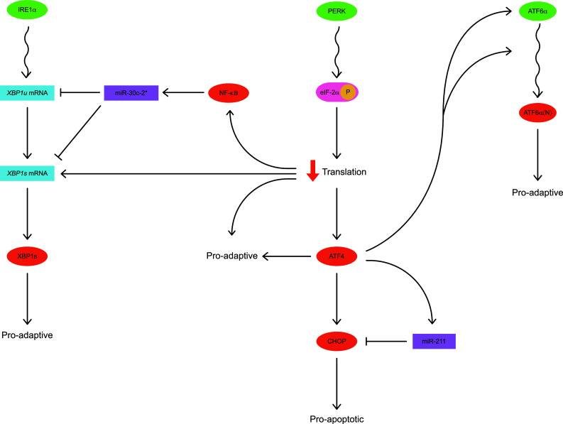 Fig. 3