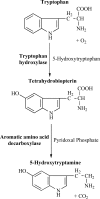Fig. (1)