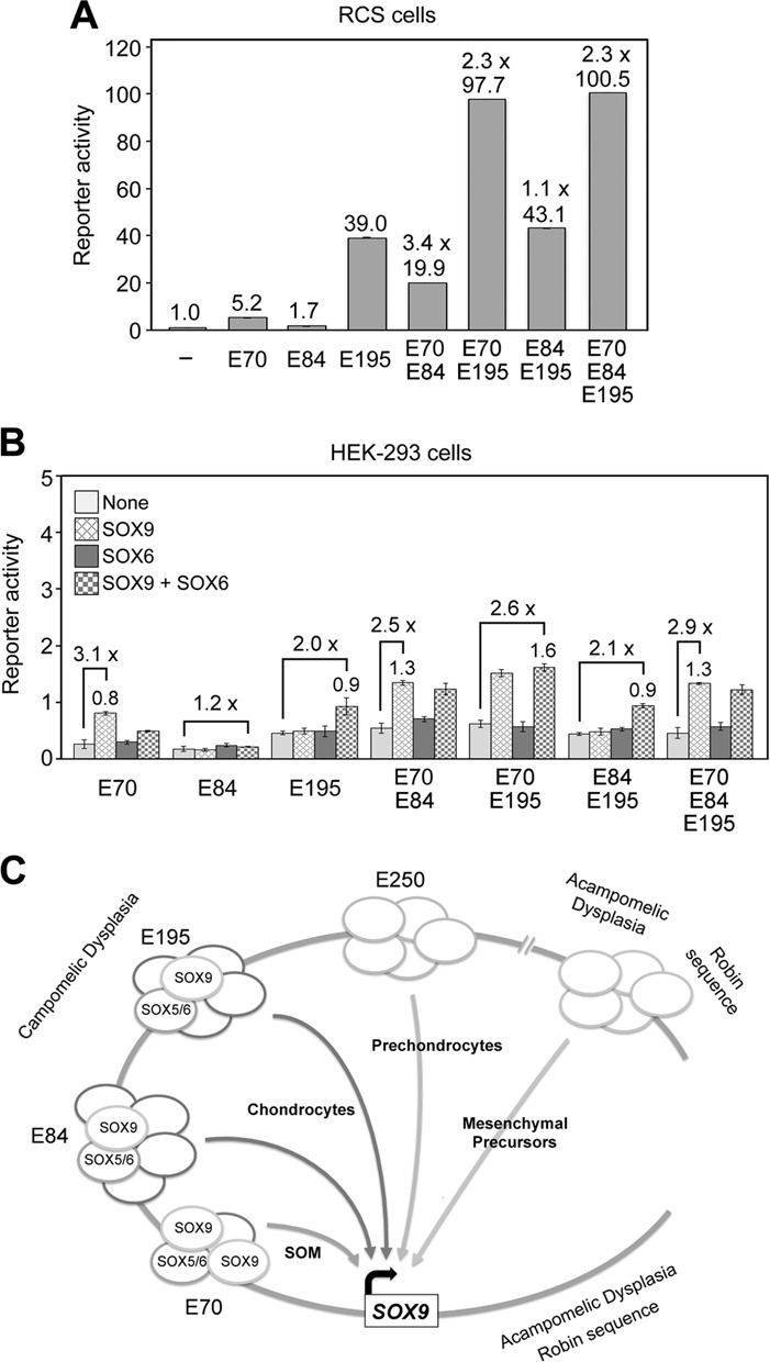 Figure 7.