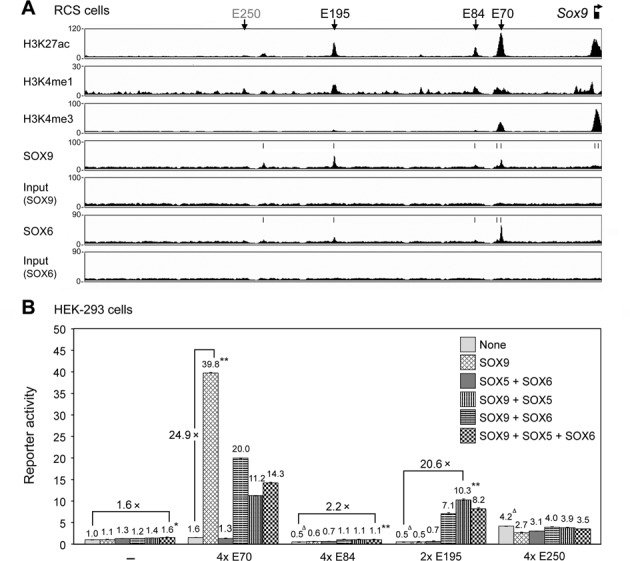 Figure 4.