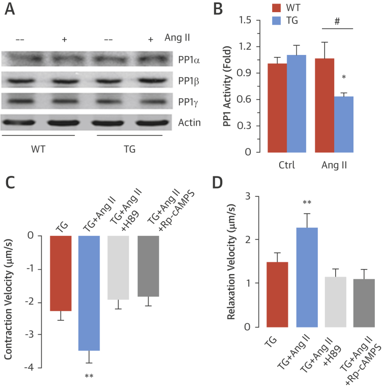 Figure 6