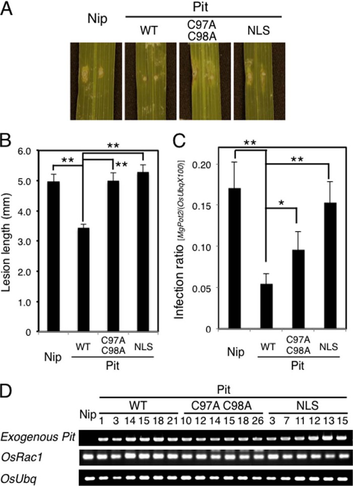 FIGURE 4.