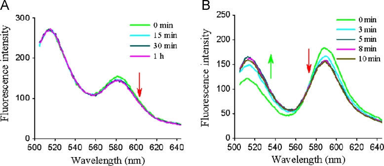 Fig. 10