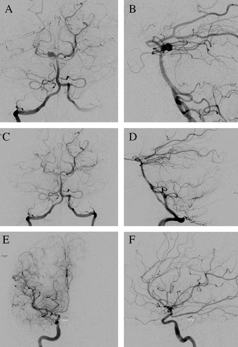 Fig. 2 –