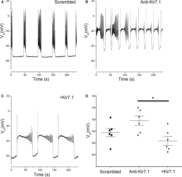 Figure 5