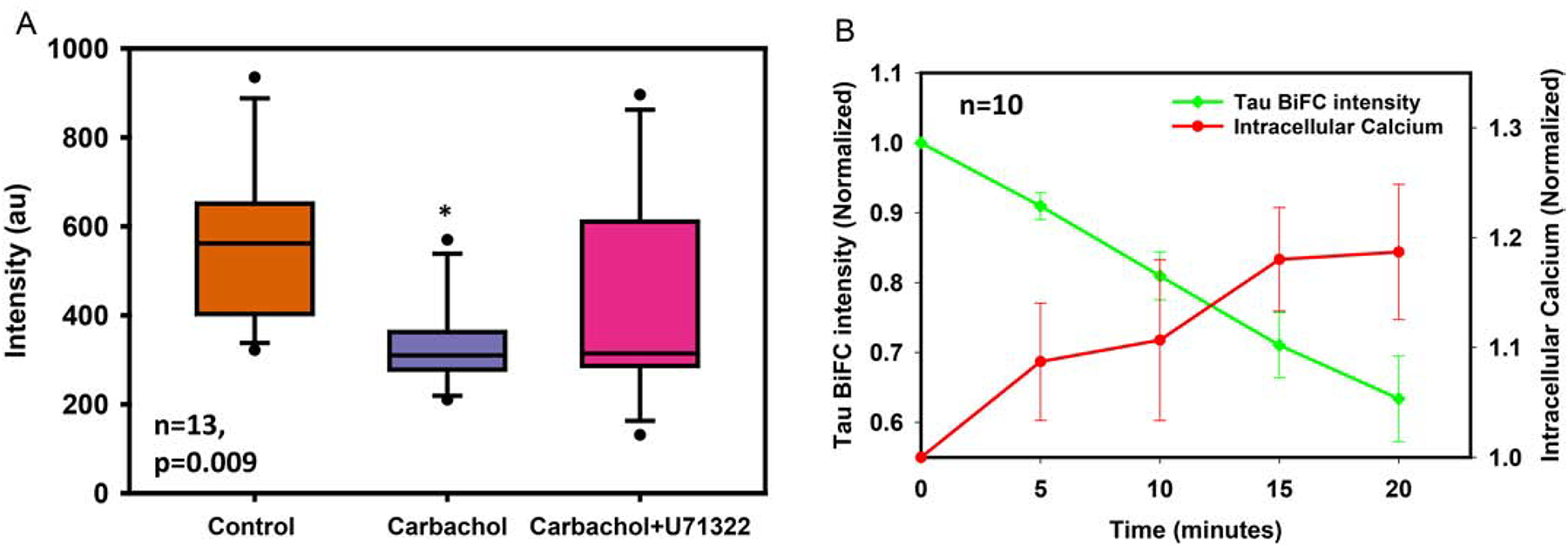 Figure 3: