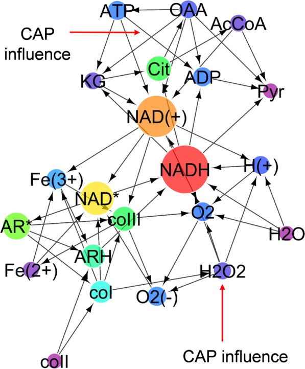 Figure 9