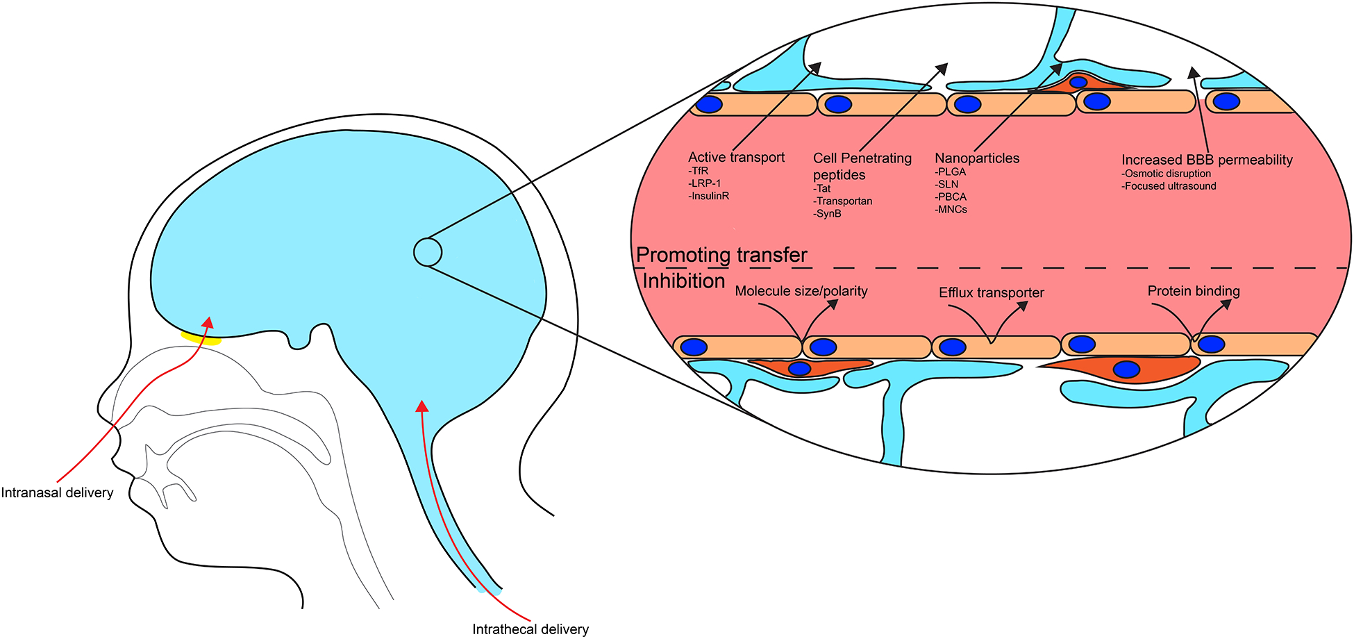 Figure 1: