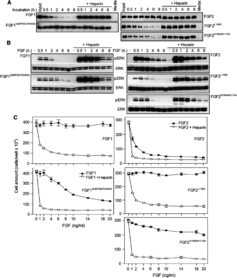 Fig. 6