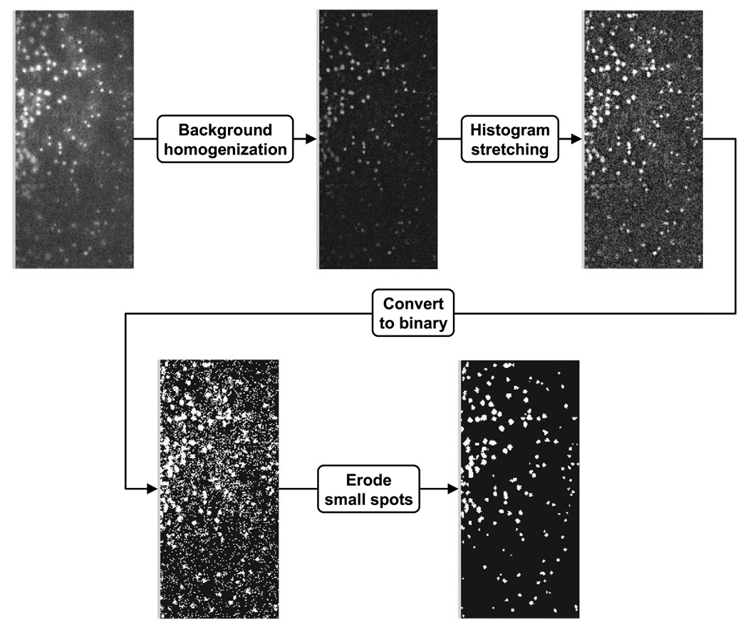 Fig. 2