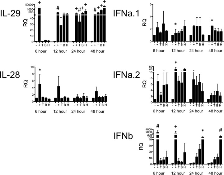 FIG 1