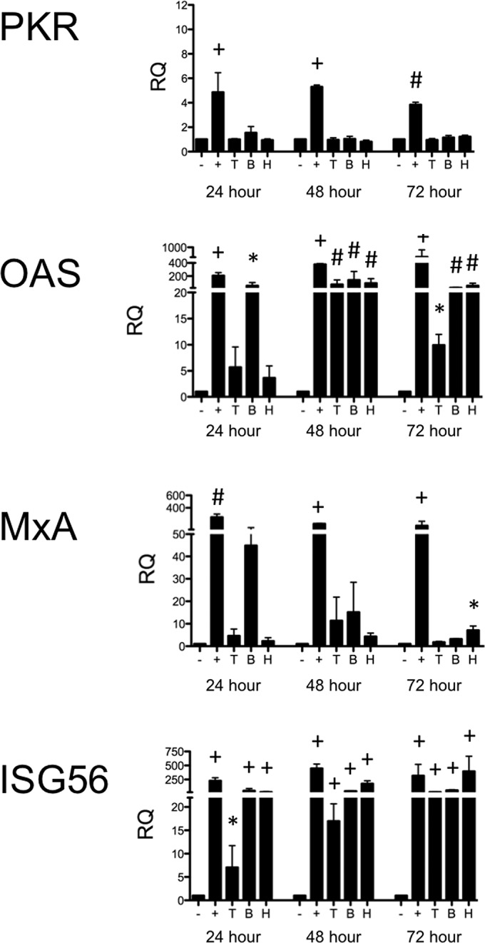 FIG 3