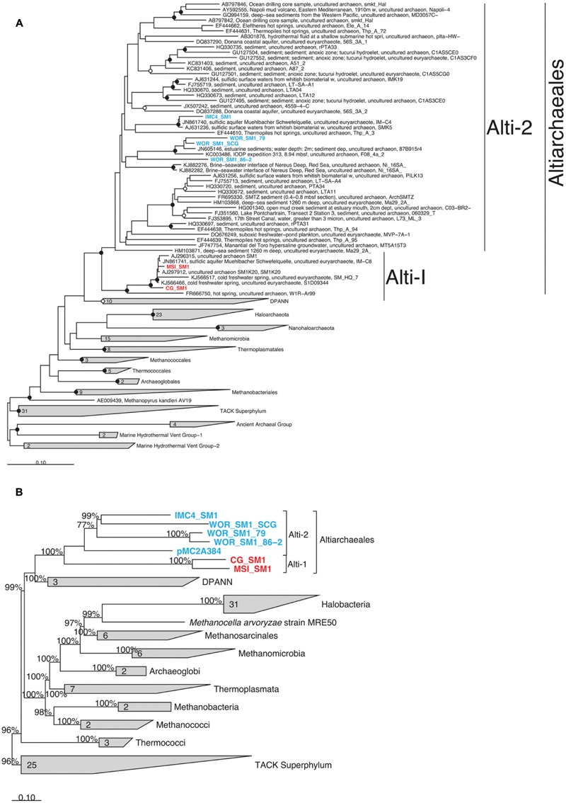 FIGURE 3