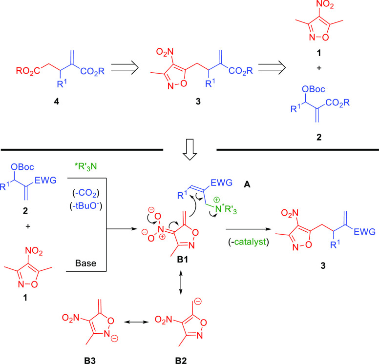 Scheme 2