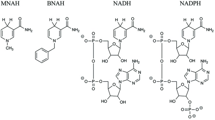 FIGURE 1