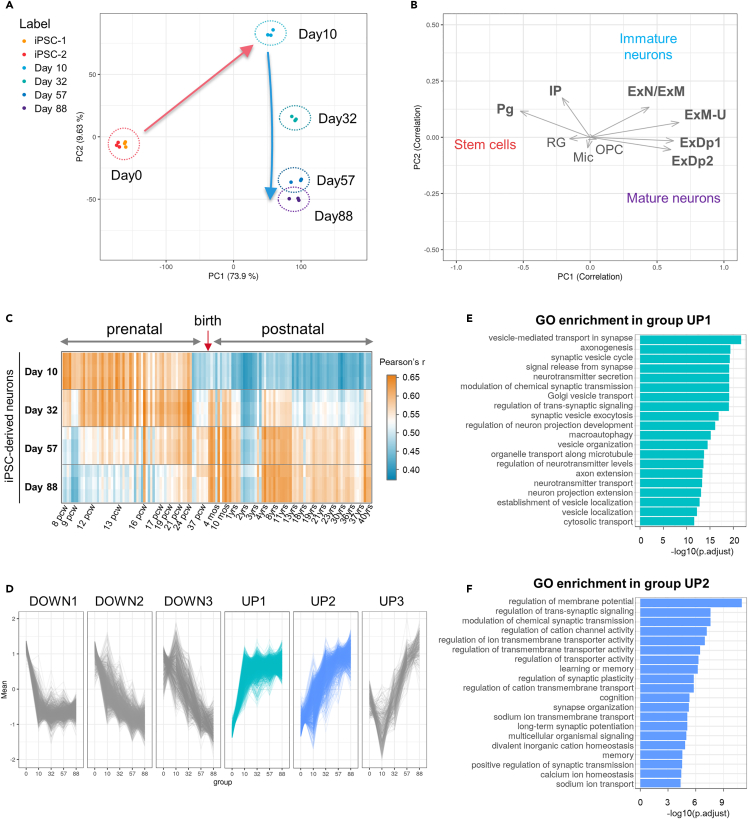 Figure 2