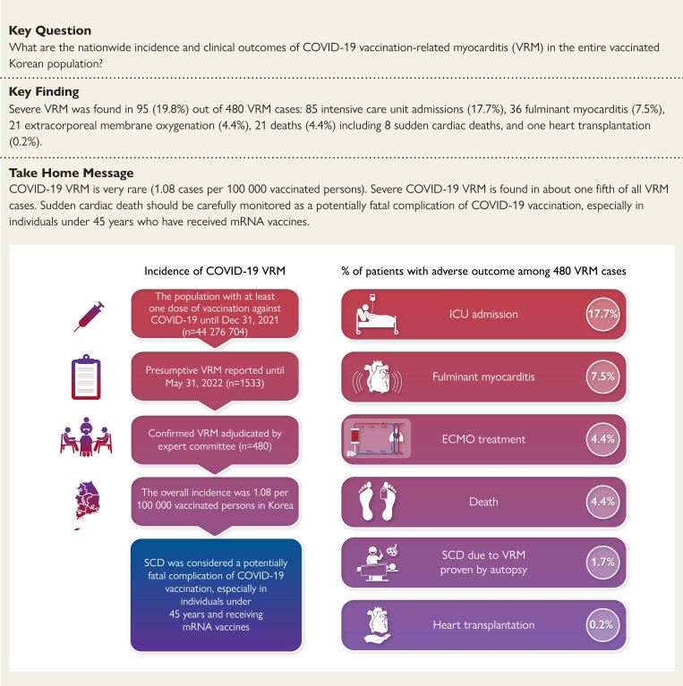 Structured Graphical Abstract