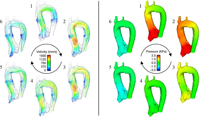 Fig. 7