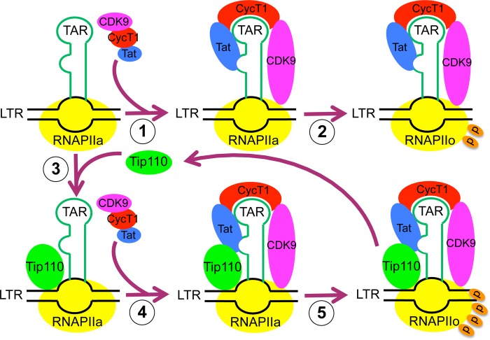 FIGURE 10.