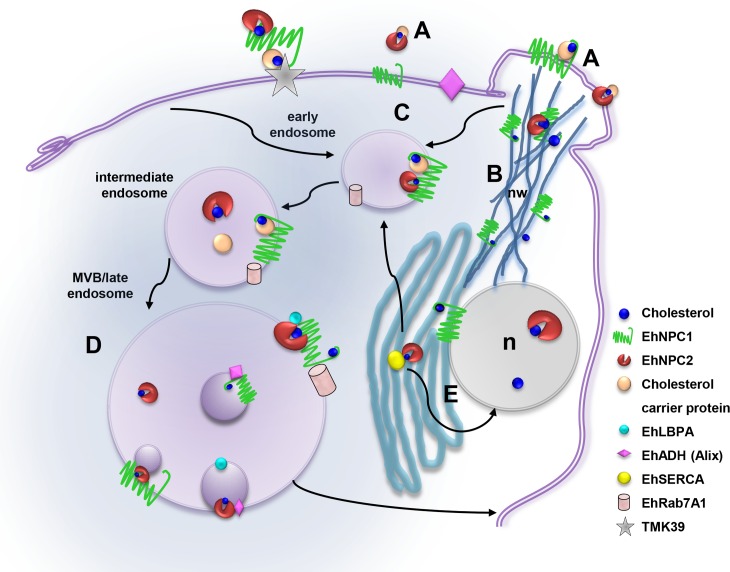 Fig 13