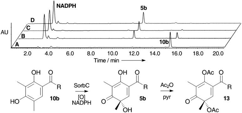 Scheme 3