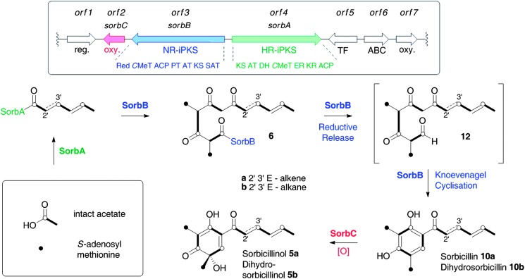 Scheme 2