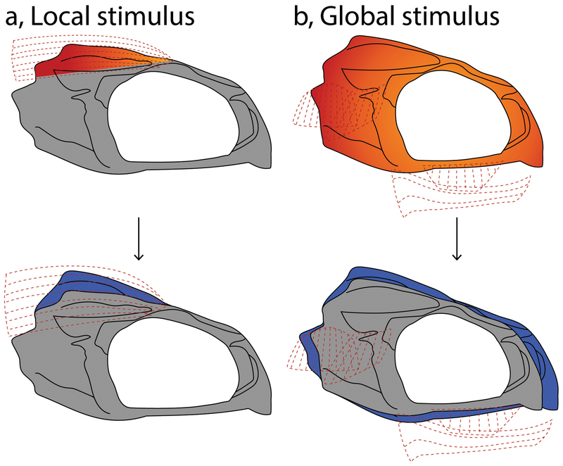 Figure 7.