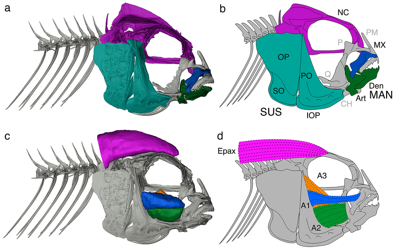 Figure 2.