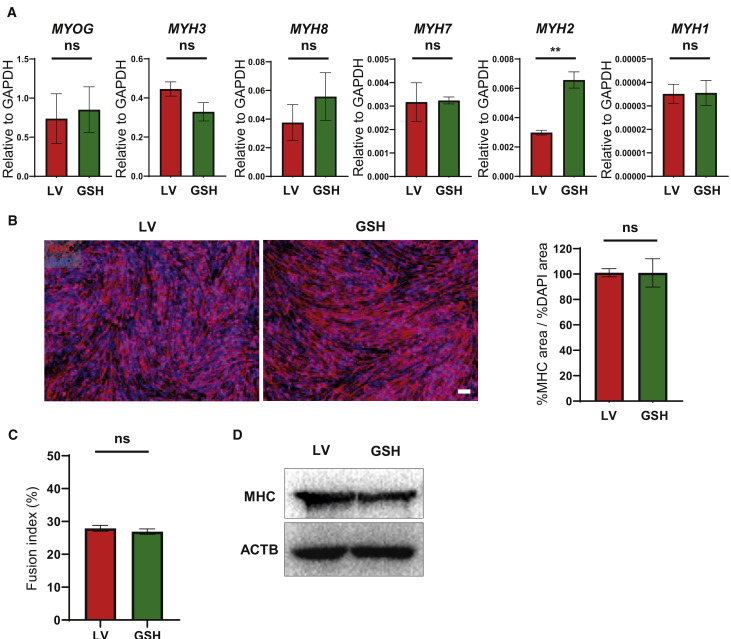 Figure 3