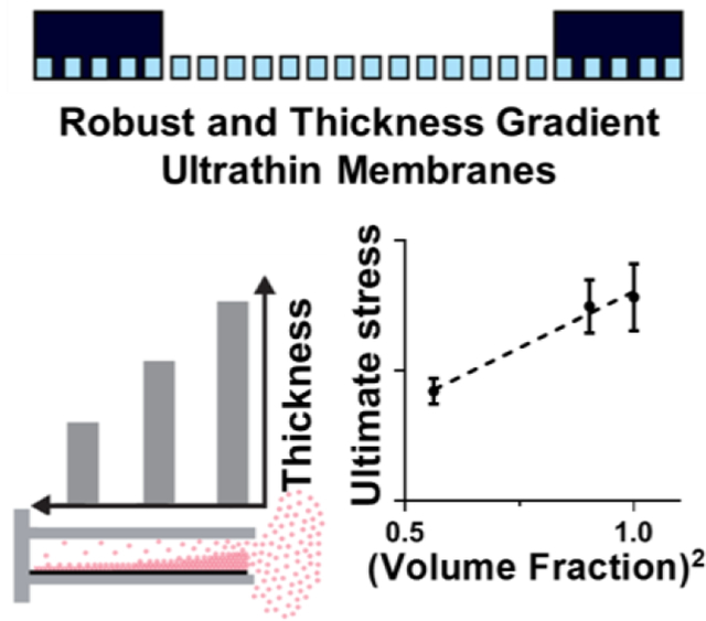 graphic file with name nihms-1646473-f0001.jpg