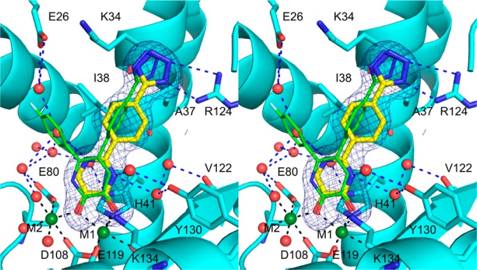 Figure 2