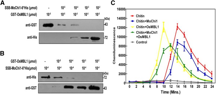 Figure 9.