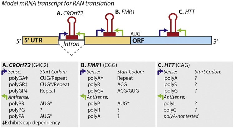 Figure 2: