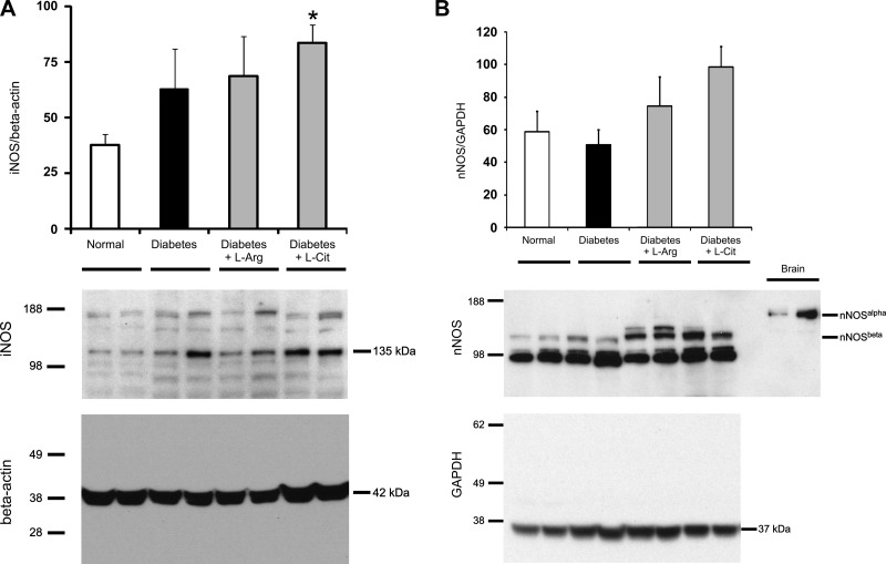 Fig. 9.