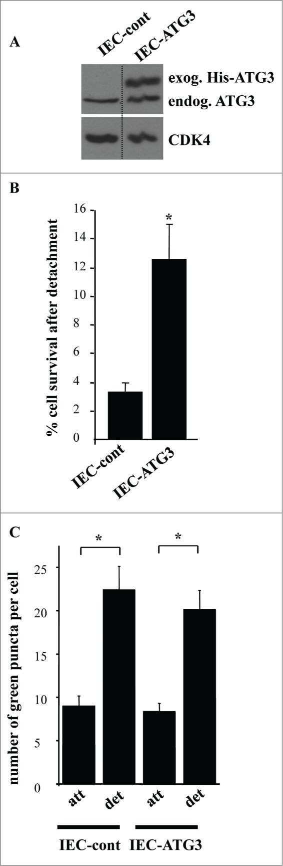 Figure 10.