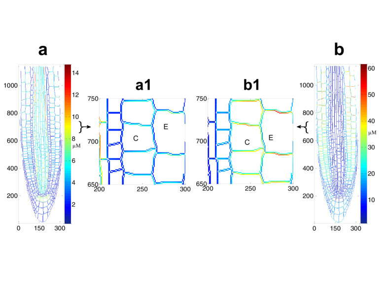 Figure 6