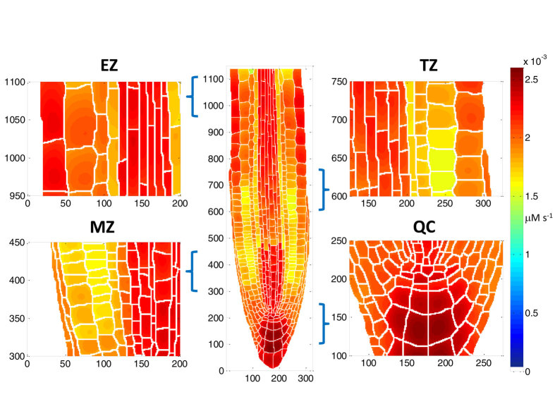 Figure 9