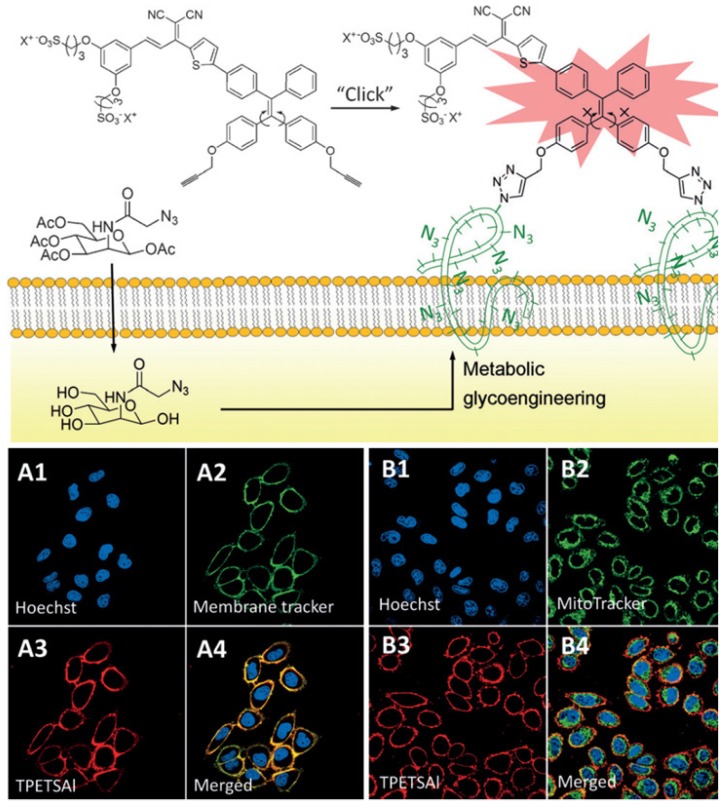 Figure 16