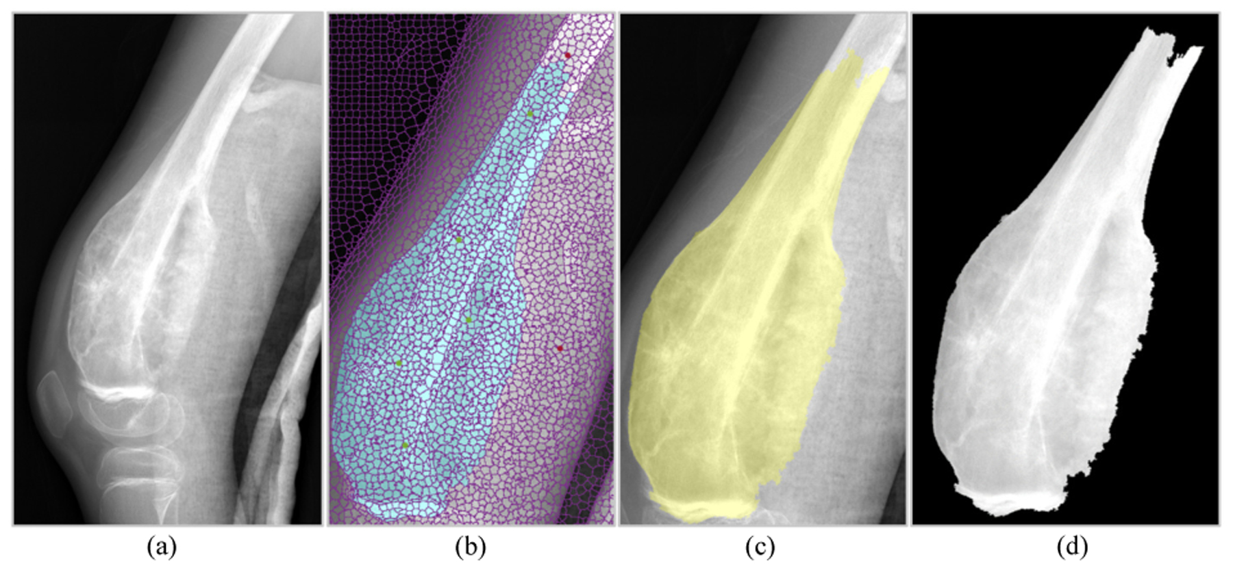 Fig. 2: