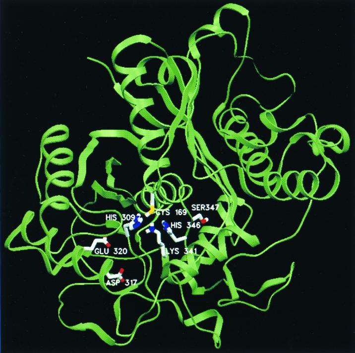 FIG. 3