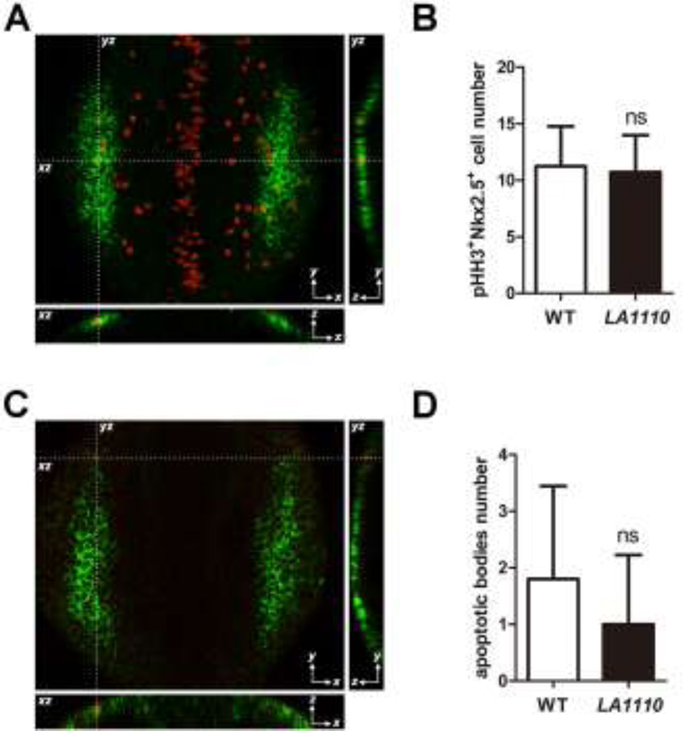 Fig.3