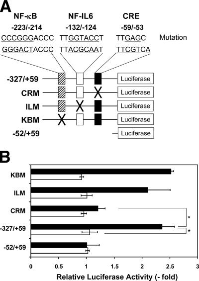 FIG. 6.