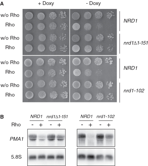 Figure 5.